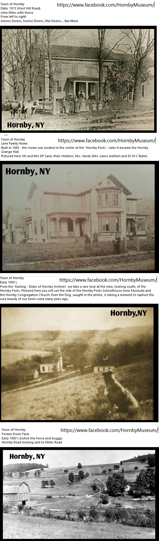 Hornby Area History