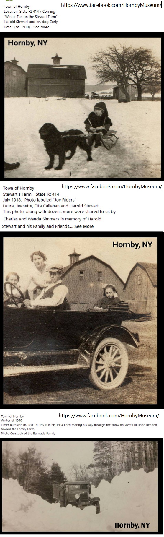 Hornby Area History